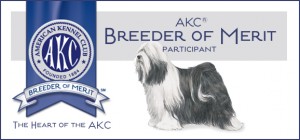Tibetan Terrier AKC Breeder of Merit